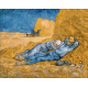 Obraz na płótnie Vincenta van Gogha Siesta