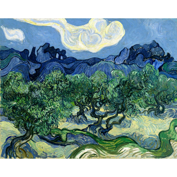 Obraz na płótnie Drzewa oliwne Vincenta van Gogha z Alpilles