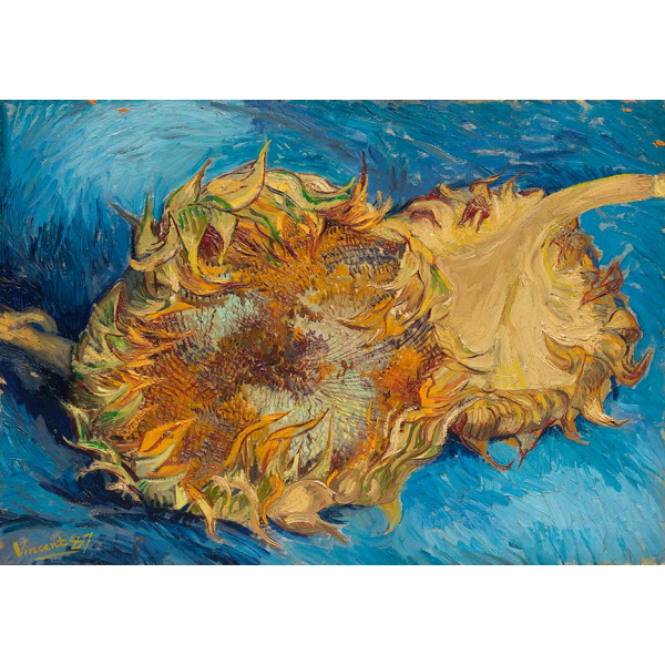 Reprodukcja obrazu Słoneczniki autorstwa Vincenta Van Gogha