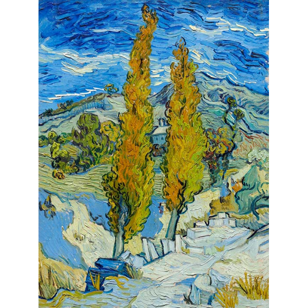 Obraz na płótnie Topole w Saint-Rémy Vincent Van Gogh