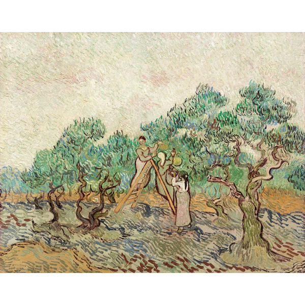 Reprodukcja Sad Oliwny Vincenta van Gogha