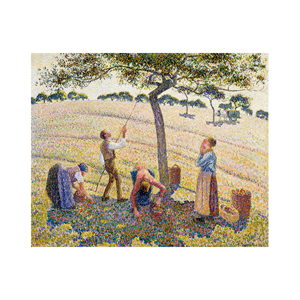 Zbiory jabłek Camille Pissarro