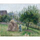 Jabłonie w Eragny, słoneczny poranek Camille Pissarro