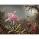 Heade Storczyk Cattleya i trzy kolibry