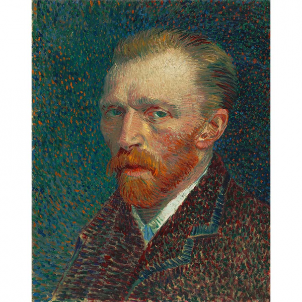 Irysy Vincent van Gogh