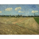 Zaorane pola „Bruzdy” Vincent van Gogh