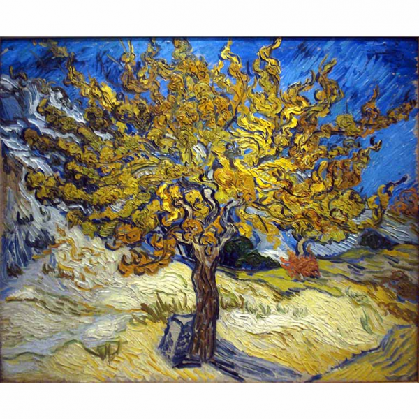 Drzewo morwowe Vincent van Gogh