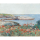 Maki, Wyspy Ławicy Childe Hassam