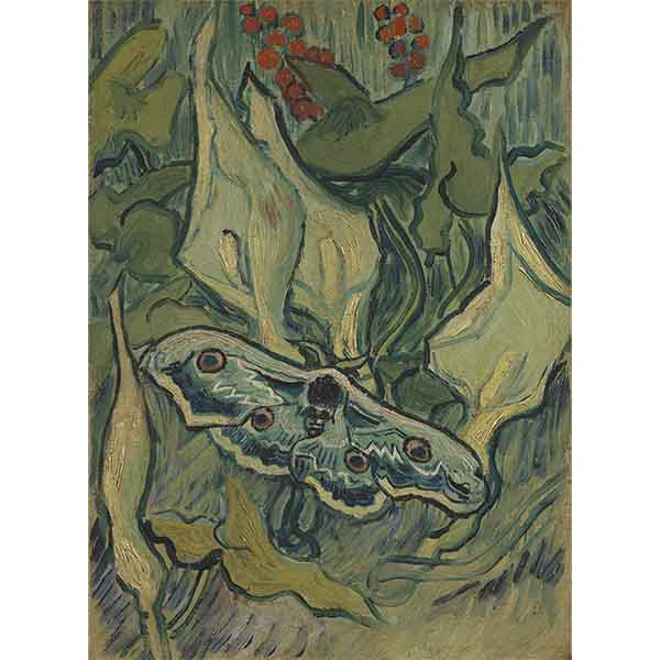 Obraz Olbrzymia pawia ćma Vincent van Gogh