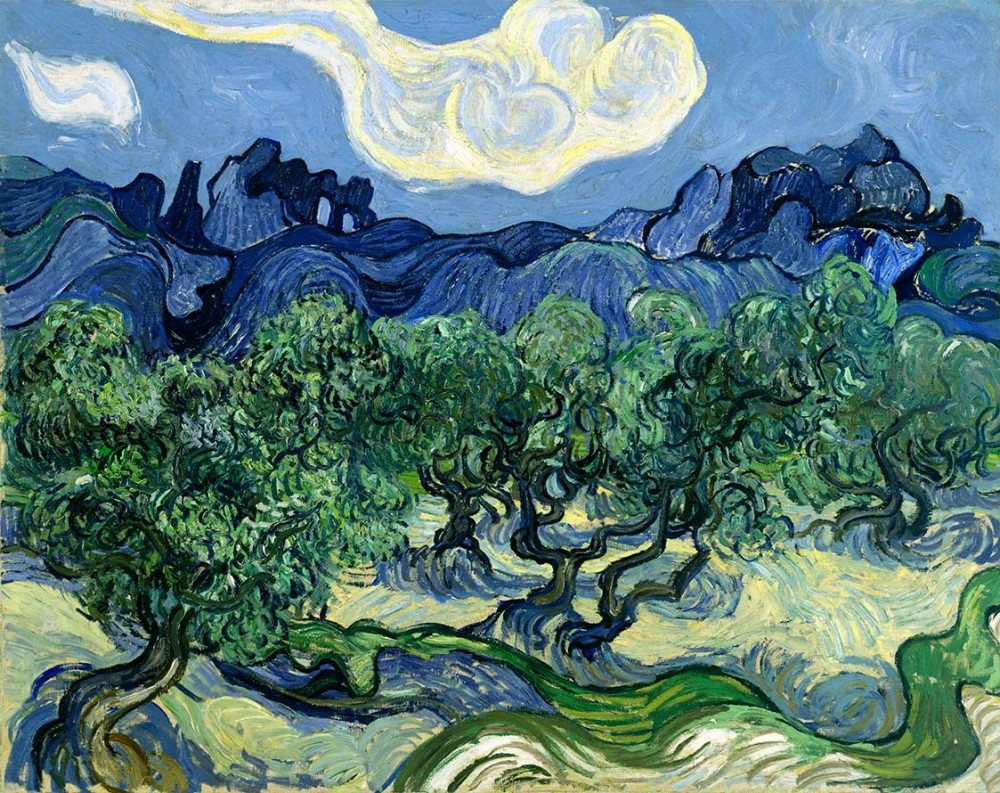 Obraz na płótnie Drzewa oliwne Vincenta van Gogha z Alpilles
