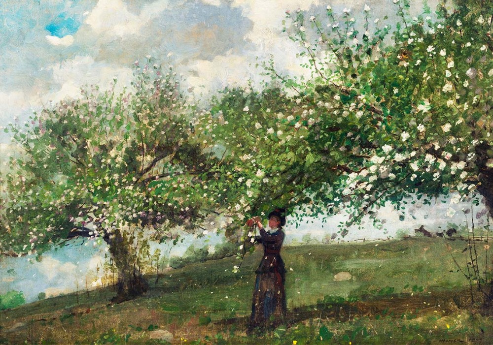 Dziewczyna zbierając kwiaty jabłoni Winslowa Homera