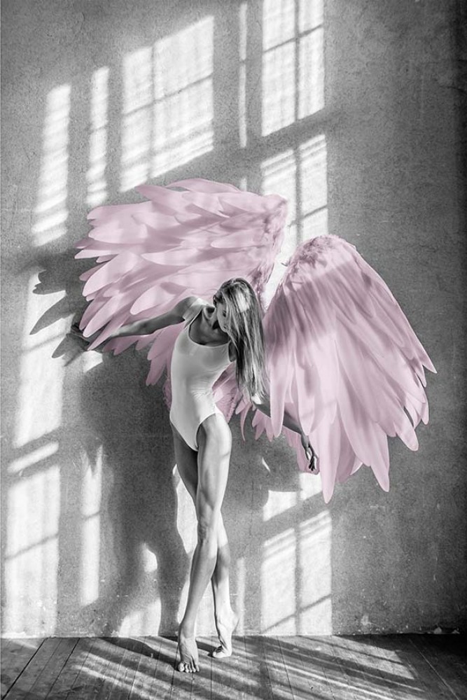 Plakat różowe skrzydła anioła 