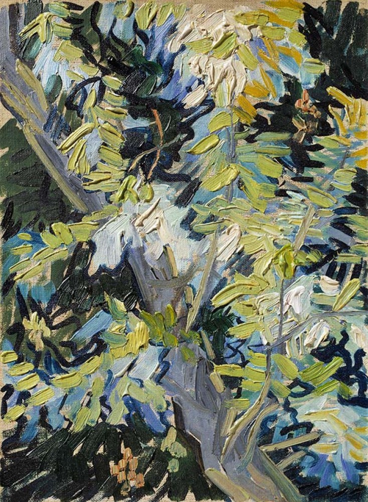 Obraz na płótnie Vincenta van Gogha Kwitnąca akacja